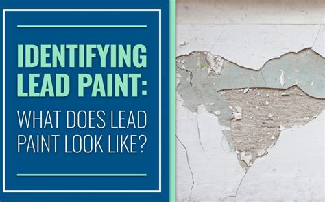 lead in paint reviews